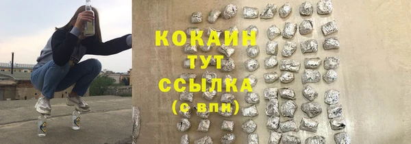 индика Пролетарск