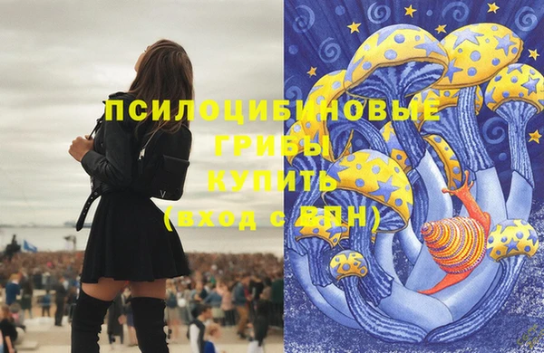 соль курить ск Приозерск