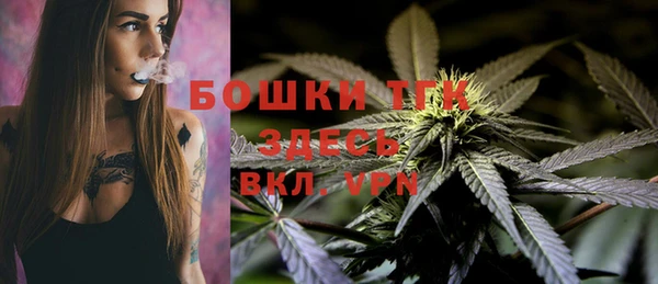 индика Пролетарск
