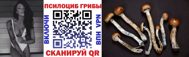 Галлюциногенные грибы Psilocybe  хочу   Узловая 