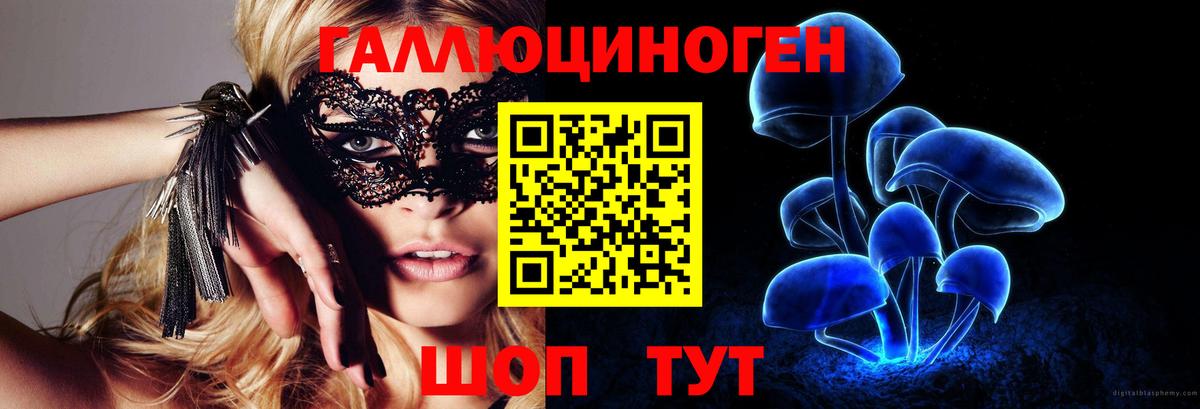 Псилоцибиновые грибы Cubensis  Вход с VPN  Узловая 
