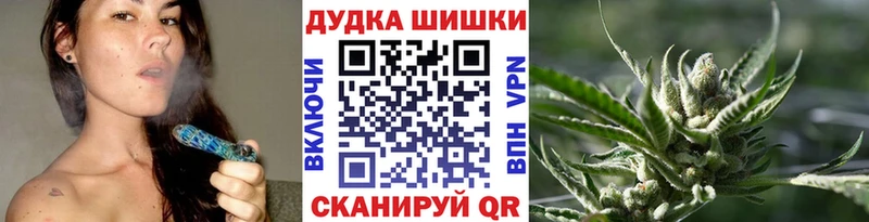 Конопля гибрид  Узловая 